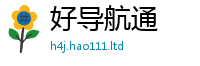 2025精准资料大全免费与王中王493333特马王中王